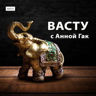 Васту с Анной Гак