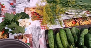 Мой погребок 2024 г. 