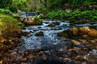 Память и внимание