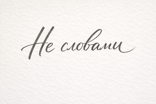 Не прошли мимо