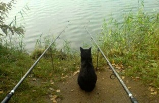 👍рыбалка👍