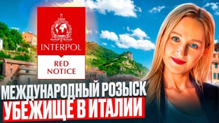 Истории переезда: интервью и опыт иммигрантов