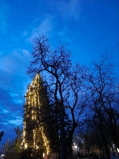 Пробежки в парках