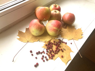 Дневниковые записи