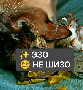 ЭЗО - НЕ ШИЗО 
