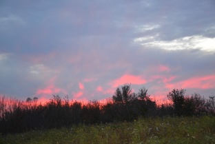 ОНА на ЕГО ладони