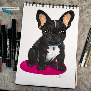 Животные, рыбки, птицы и насекомые