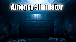 Autopsy Simulator 