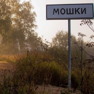 Мошки деревня Торжокского района