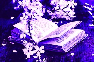 Поэзия моей души