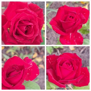 Моменты природы и жизни 