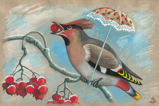 Заметки о природе