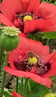 АВГУСТ месяц 2025 год