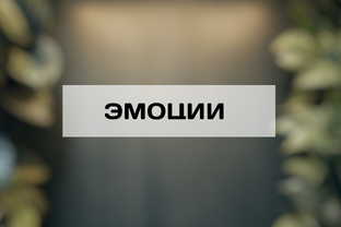 ЭМОЦИИ 