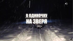 В одиночку на зверя