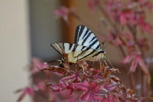 Путешествия за границу