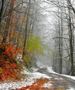 Произведения тревожной осени
