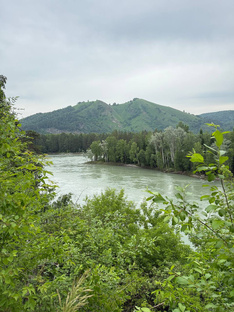 АЛТАЙ