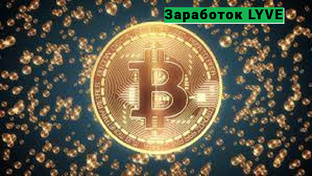 Криптовалюта без вложений