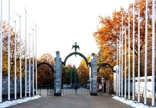 #ПаркМоейБабушки 🌳🌲