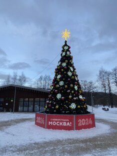 Новогодние истории