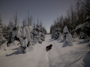 Статьи и размышления 