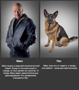 Фанфик по сериалу Пёс