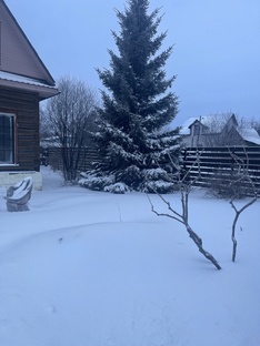 С Новым цветочным годом