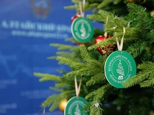 С Новым 2026 годом! Большая подборка поздравлений OTVS!