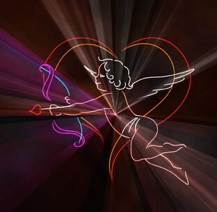 Свадебные шоу