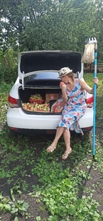 Дача: стройка- огород-досуг