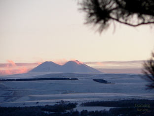 Путешествия