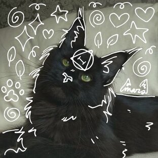 Рисунки на бумаге