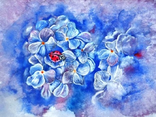 Цветники Сады Парки