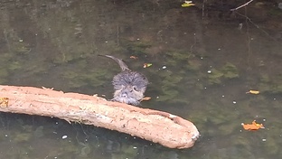 Геополитика