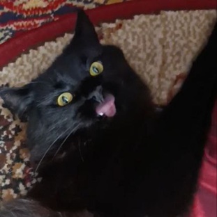 В МИРУ ЖОРИКА -ОБЖОРИКА