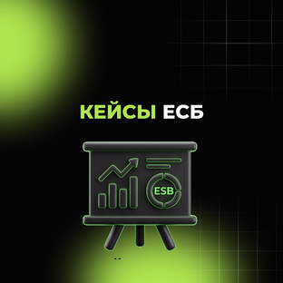 Кейсы ЕСБ