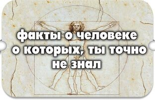 Интересные факты 