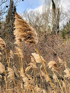 Апрель месяц 2026