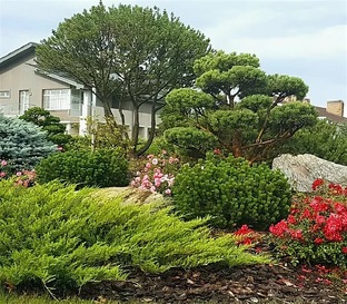 Уход за садом