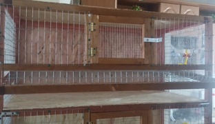 Поделки для животных