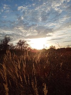 Жизнь прекрасна 