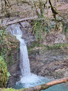 Как быть здоровым