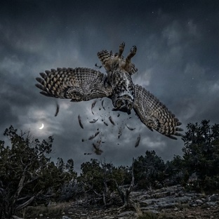 Совпадение? Не думаю)