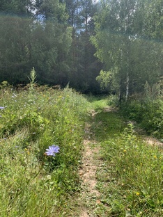 Кровинушка