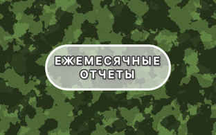 Ежемесячные отчеты