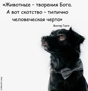 Умные мысли