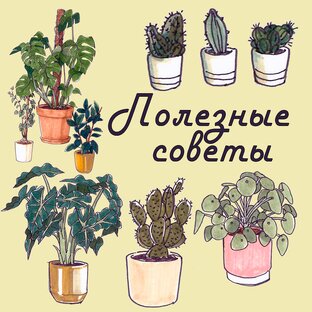 Полезные советы
