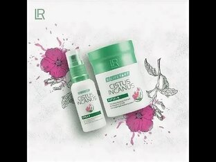 Цистус Инканус 