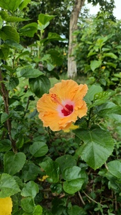 Строение предложений в немецком языке